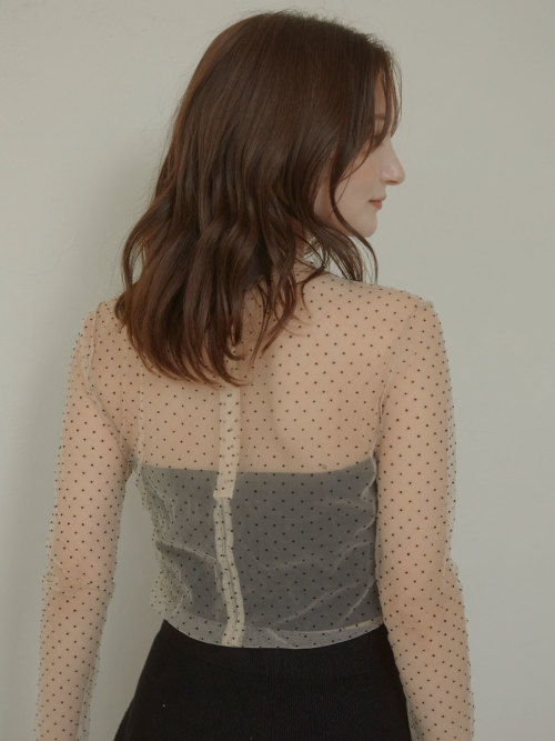 Dot sheer high neck ブラウス ALL ACYM ONLINE SHOP